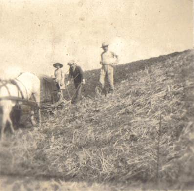 123-34-leonardo acelino olga 1966-jul