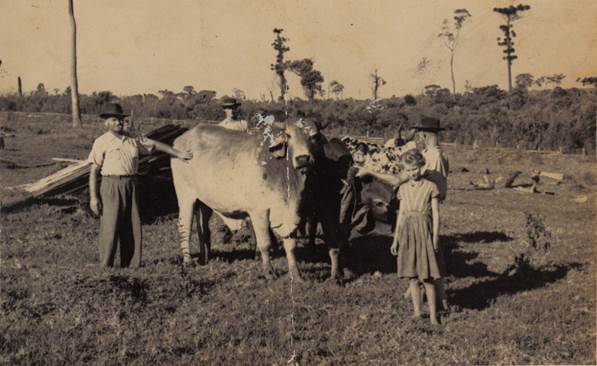 126-19-joão krupczak filha ........ 19___